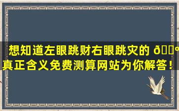 想知道左眼跳财右眼跳灾的 🌺 真正含义免费测算网站为你解答！